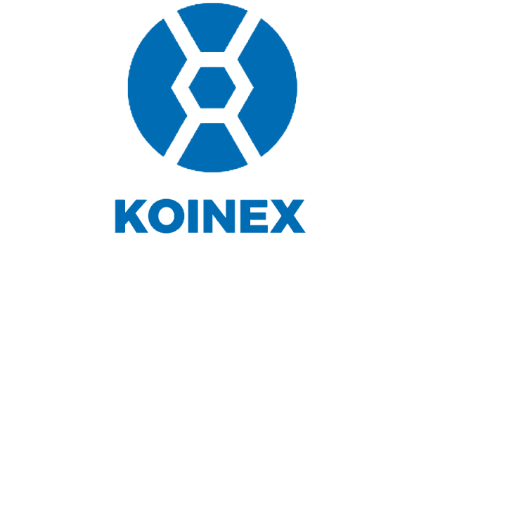 Koinex Founders